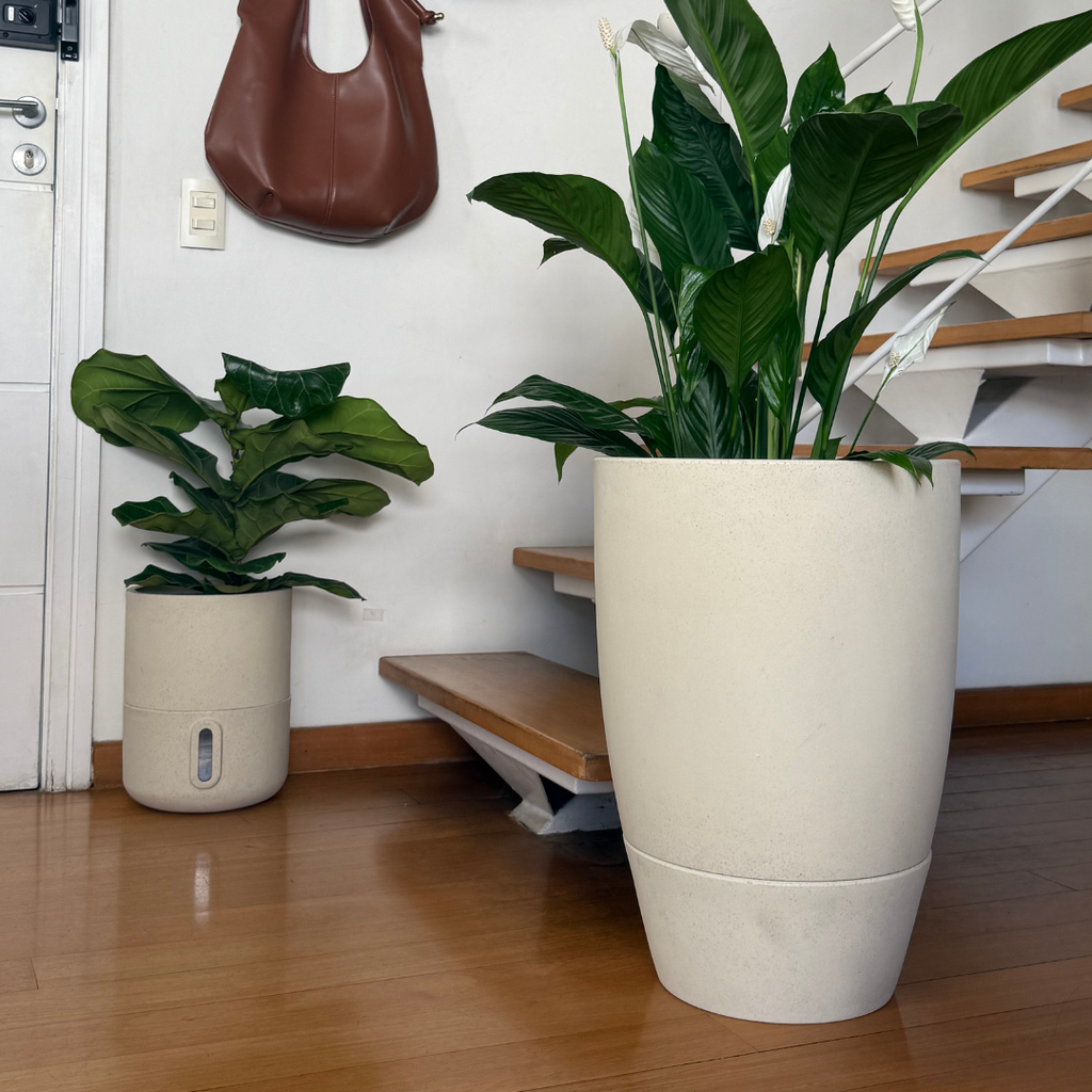 33x25 Urban Sprout Plant Pot, Germination Decor Planter for Home Patio Gardening