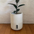 33x25 Urban Sprout Plant Pot, Germination Decor Planter for Home Patio Gardening