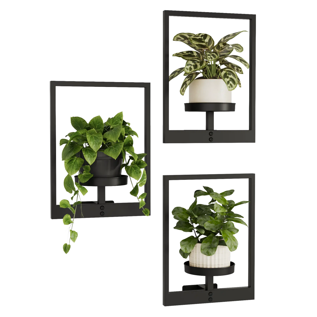 Black Metal Wall Mount Plant Pot Racks
