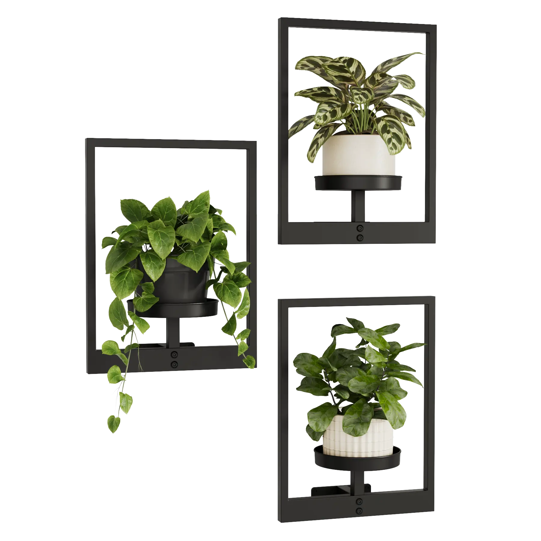 Black Metal Wall Mount Plant Pot Racks