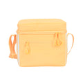 12 Can Portable Insulated Cooler Bag with Removable Hard Liner, Small Soft Cooler for Beach Camping Lunch