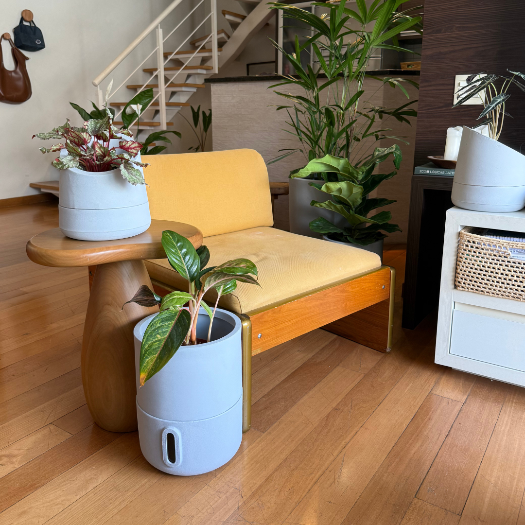 33x25 Urban Sprout Plant Pot, Germination Decor Planter for Home Patio Gardening